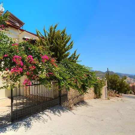 Villa Adel *
